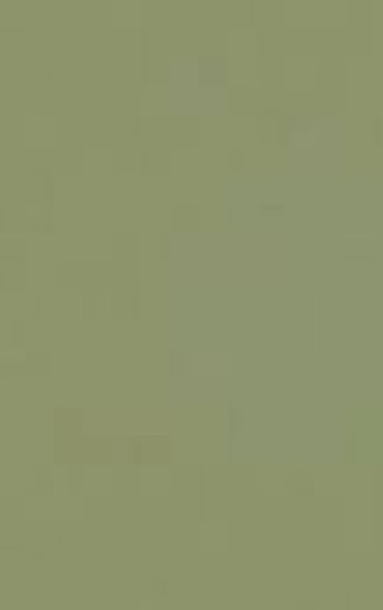 Nordic Green