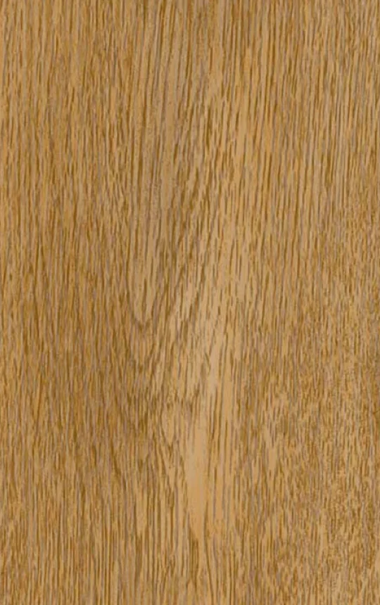 Maple